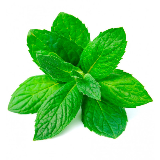 EAU DE PARFUM POUR HOMME LOOK THIS 15ML EAU DE PARFUM POUR HOMME LOOK THIS 15ML