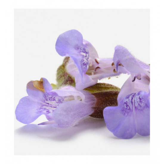 EAU DE PARFUM POUR HOMME LOOK THIS 15ML EAU DE PARFUM POUR HOMME LOOK THIS 15ML