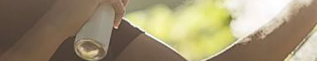 Εντομοαπωθητικά Εντομοαπωθητικά