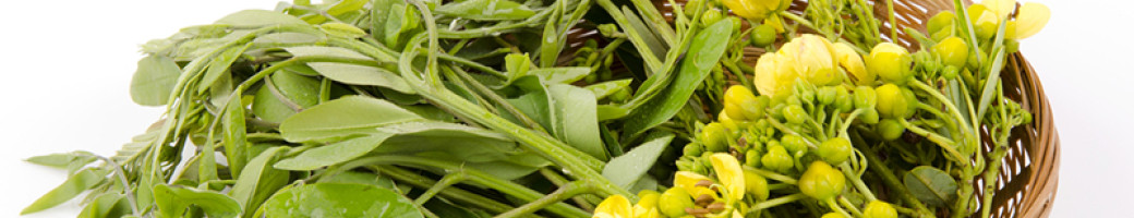 Βότανα Βότανα