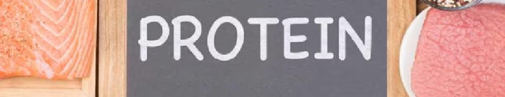 Πρωτεΐνες Πρωτεΐνες