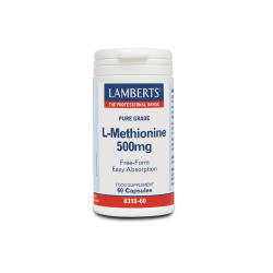 L-METHIONINE 500MG 60CAPS L-METHIONINE 500MG 60CAPS