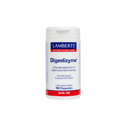 DIGESTIZYME 100CAPS DIGESTIZYME 100CAPS