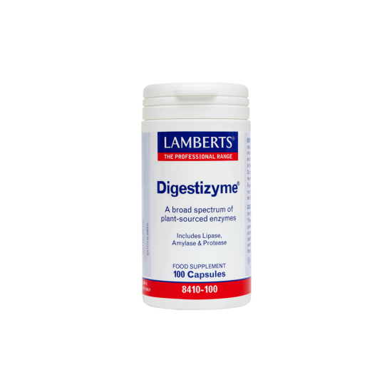 DIGESTIZYME 100CAPS DIGESTIZYME 100CAPS