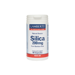 SILICA 90CAPS SILICA 90CAPS