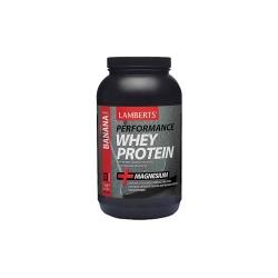 WHEY PROTEIN BANANA 1000GR WHEY PROTEIN BANANA 1000GR