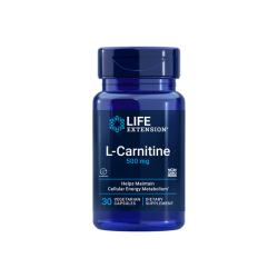 L-CARNITINE 500MG 30CAPS L-CARNITINE 500MG 30CAPS