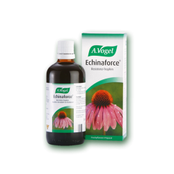 TINCTURE ECHINAFORCE 50ML TINCTURE ECHINAFORCE 50ML