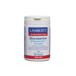 GLUCOSAMINE & PHYTODROITIN COMPLEX 120TABS GLUCOSAMINE & PHYTODROITIN COMPLEX 120TABS