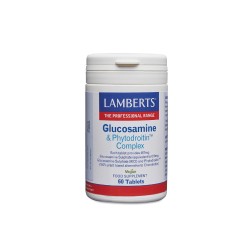 GLUCOSAMINE & PHYTODROITIN COMPLEX 60TABS GLUCOSAMINE & PHYTODROITIN COMPLEX 60TABS