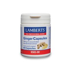 GINGER 120MG 60CAPS GINGER 120MG 60CAPS