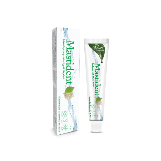 MASTIDENT TOOTHPASTE 75ML MASTIDENT TOOTHPASTE 75ML