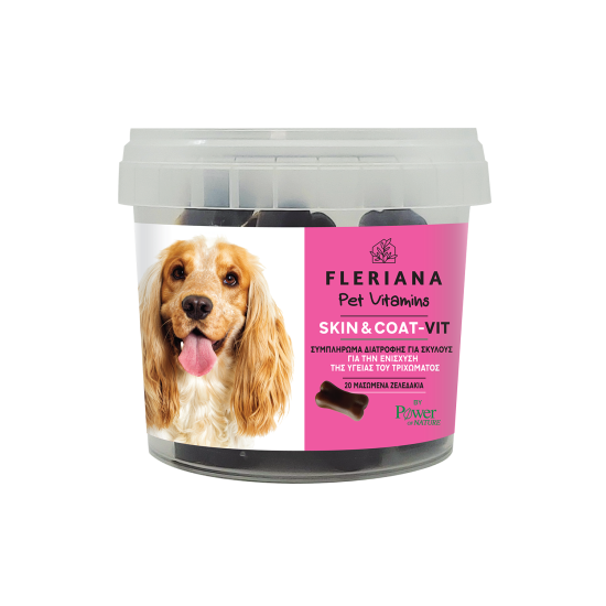 FLERIANA PET VITAMIN SKIN & COAT VIT 20 ΜΑΣΩΜΕΝΑ ΖΕΛΕΔΑΚΙΑ FLERIANA PET VITAMIN SKIN & COAT VIT 20 ΜΑΣΩΜΕΝΑ ΖΕΛΕΔΑΚΙΑ