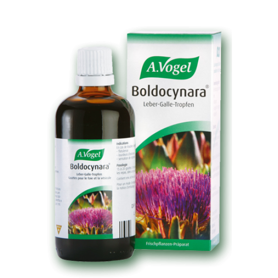 TINCTURE BOLDOCYNARA 50ML TINCTURE BOLDOCYNARA 50ML