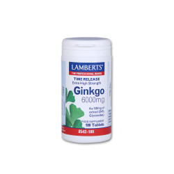 GINKGO BILOBA EXTRACT 6000MG 180TAB GINKGO BILOBA EXTRACT 6000MG 180TAB