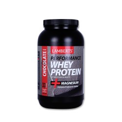 WHEY PROTEIN CHOCOLATE 1000GR WHEY PROTEIN CHOCOLATE 1000GR